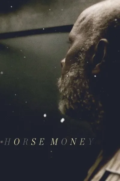 Similar to «The Luminous Life»: Horse Money
